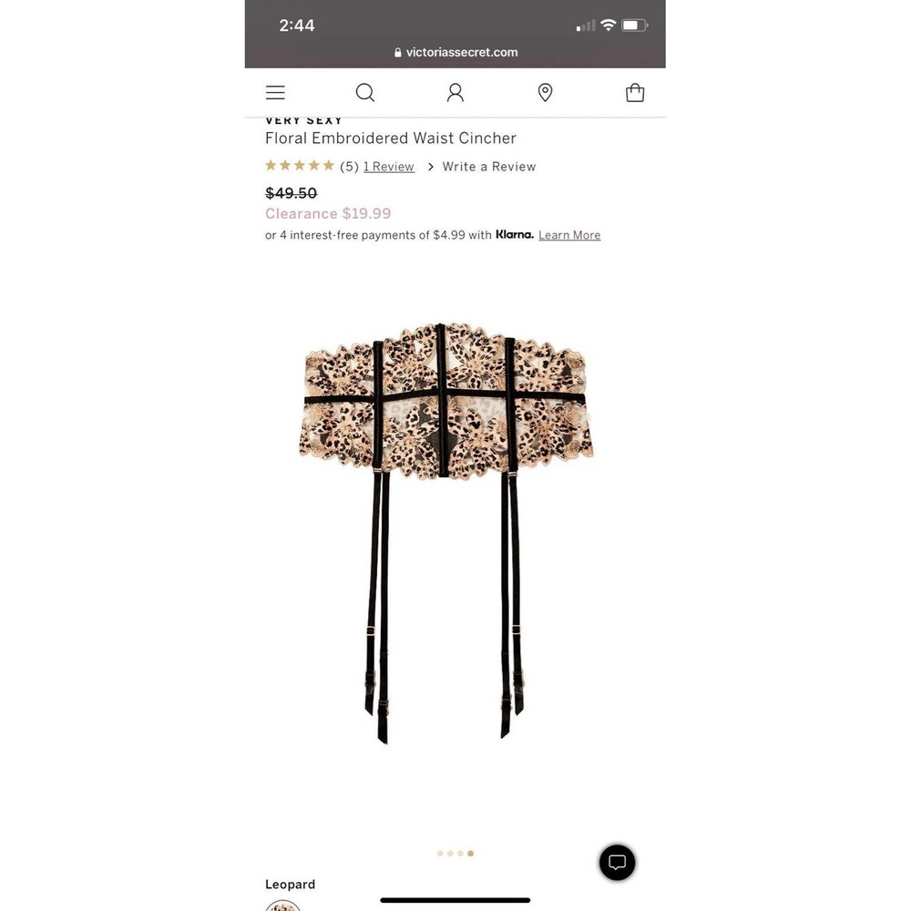 Victoria’s Secret Garter Belt
